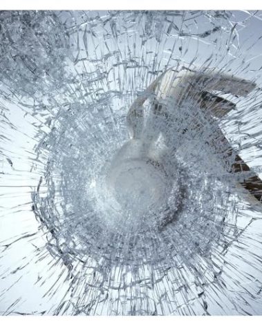 BDF S8MC Window Film Security and Safety 8 Mil Clear - 48in X 24ft