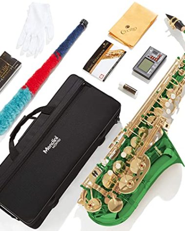 Mendini By Cecilio Alto Saxophone for Beginners, E Flat Tenor Saxophone for Students Musicians with Tuner, Mouthpiece, Case, 10 Reeds, Grease, Cleaning Cloth & Rod, Gloves, Strap, Lesson Book (Green)