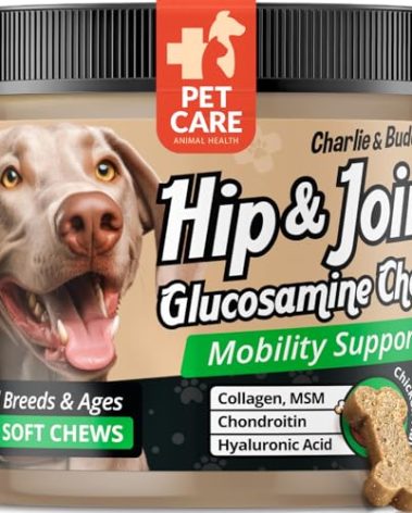 Glucosamine for Dogs Chewable, Joint Supplement for Dogs for Mobility Support, Glucosamine Chondroitin Chews