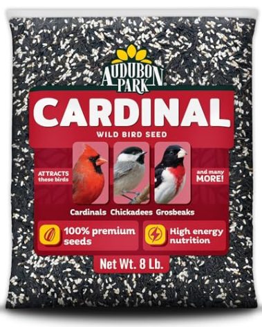 Audubon Park Cardinal Wild Bird Seed - 8 lb. No Corn, Milo, or Millet – Sunflower & Safflower Mix – Bird Food for Outside Feeders