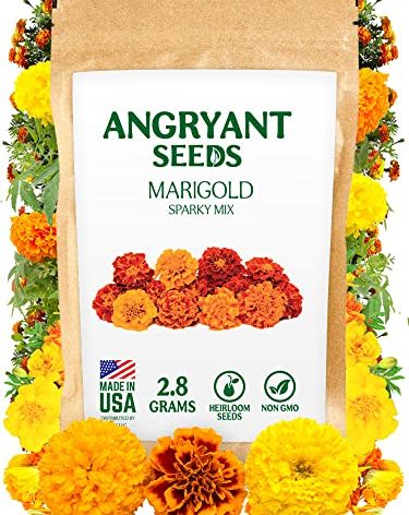 Marigold Sparky Mix Seeds - 999+ Heirloom Flower Seeds for Planting Indoors and Outdoors in Your Home Garden - Non GMO, USA Grown - Annual, Open Pollinated Wildflower Seeds Bulk for Companion Planting