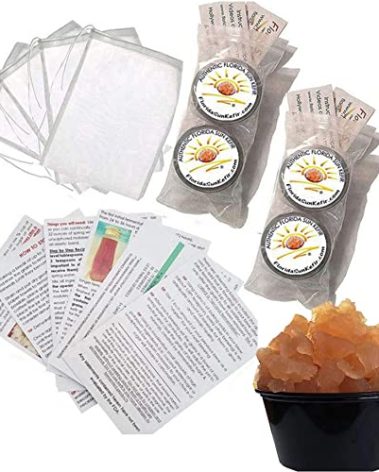 (4) PORTION Cups of Live Florida Sun Kefir Water Kefir Grains Natural Probiotics (6) SIX BREWING BAGS INCLUDED