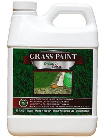 EnviroColor 4EG0032 851612002100 (1,000 Sq.Ft) 4Evergreen Grass & Turf Paint, Green