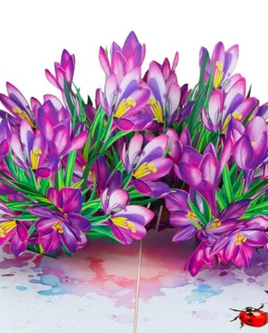 DISJOURNEY Pop Up Birthday Card - 7.9” X 5.8" 3D Pop Up Flower Cards for Mother Day Birthday Thank Yous Get Well or Any Occasion -Mothers Day Card for Mom Grandma Wife and Women