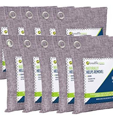 Breathe Green Charcoal Odor Eliminator Bags (10-Pack) | Activated Bamboo Charcoal Deodorizer | Natural Freshener Removes Odor &Moisture | Odor Eliminator for Car, Closet, Bathroom, Gym Bag, Shoes