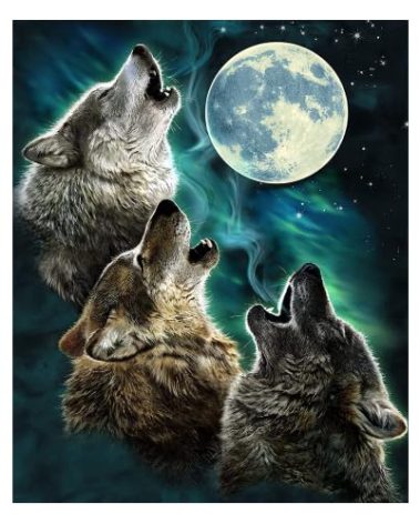 Dawhud Direct Howling Wolf Fleece Blanket for Bed - Moon Fleece Throw Blanket for Women, Men and Kids - Super Soft Plush Wolf Blanket Throw Plush Gifts - 75" x 90" Inches, Queen Size