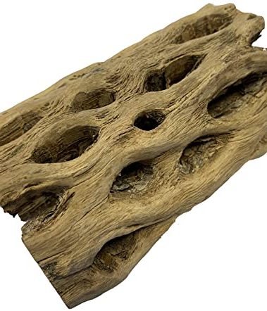 Awesome Aquatic up to 2 in Thick XL Teddy Bear/Chain Fruit/Buckhorn/Staghorn Cholla Wood Hollow Tube Wood Cactus Skeleton Tubes (6 in x up to 2 in)