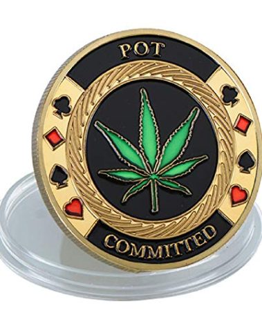 SW Poker Card-Guard Coin Collectibles Table Games Poker Card-Guard Protector Golden Coin Chip w/Plastic Case, Poker Chips Coin, A Great Coin Collecting Gifts for Husband, Father, Friends