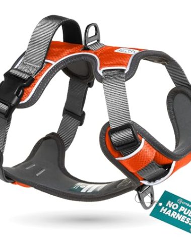 Embark Adventure Dog Harness, Reflective Trim No Pull Dog Harness for Large Dogs - Military Grade Nylon, Front Clip with Gel Lined Handle.