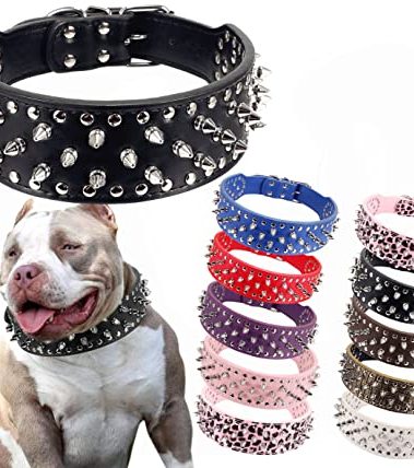 Hoot PU Leather Adjustable Spiked Studded Dog Collar 2" Wide 31 Spikes (S(Neck 17"-20"), Black)