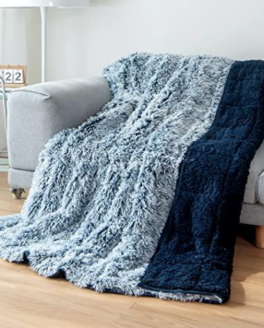 Cottonblue Weighted Blanket 20lbs, Sherpa Faux Fur Reversible Luxury Snugly Long Fur Warm Heavy Blanket 60x80 inches, Warm Plush Sherpa Weighted Blanket Queen Size for Couch Sofa Bed, Morandi Blue