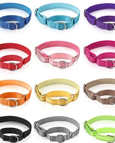 Cunno 12 Pcs Martingale Collar for Medium Dogs Reflective Dog Collar with Durable Metal Buckle Adjustable Nylon Pet Prevent Slipping Out for Pupplies, 12 Colors(Medium)