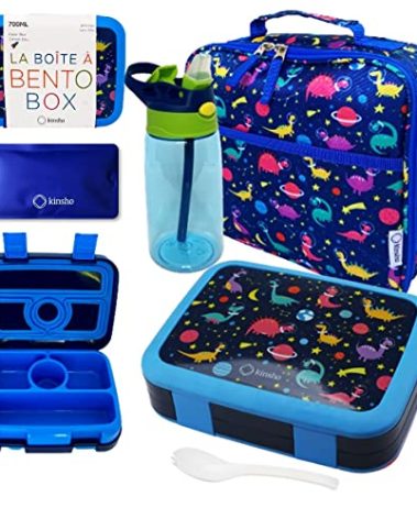 Bento Lunch Box with Bag, Water Bottle & Ice Pack Set for Kids Toddlers, 4 Portion Sections, Removable Tray, Pre-School Boy Toddler Daycare Lunches, Insulated Snack Container, Blue Space Dinosaur