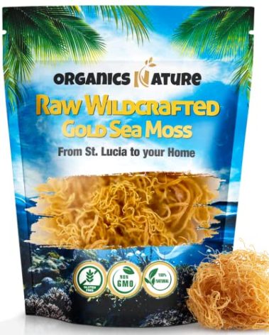 Organics Nature Raw Wildcrafted Sea Moss | Organic Wildcrafted & Non-GMO Certified | Dr Sebi Approved | Make 5 Jars of Sea Moss Gel | Immune Support, Energy &e Essential Minerals & Vitamins 4 oz
