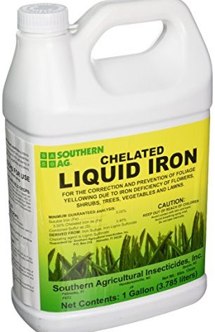 Southern Ag Chelated Liquid Iron, 1 Gallon