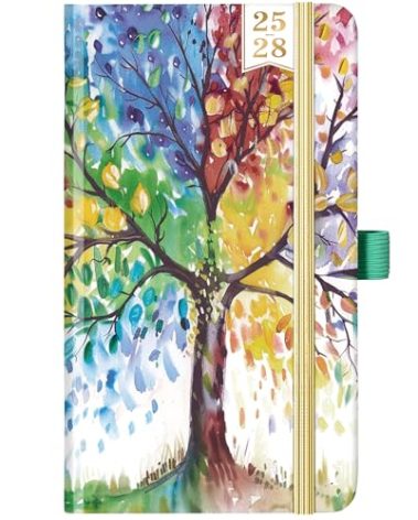 Pocket Calendar 2025-2028 - Planner 2025-2026, JUL. 2025 - JUN. 2028, 3 Year Monthly Planner 6.3" x 3.8", 2025-2028 Pocket Calendar for Purse
