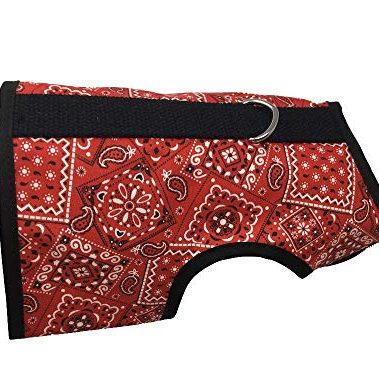 Kitty Holster Cat Harness - Cat Walking Harness, Secure & Comfortable, Ultra-Strong Hook-and-Loop, Soft Breathable Cotton, Made in USA - Red Bandana, S/M
