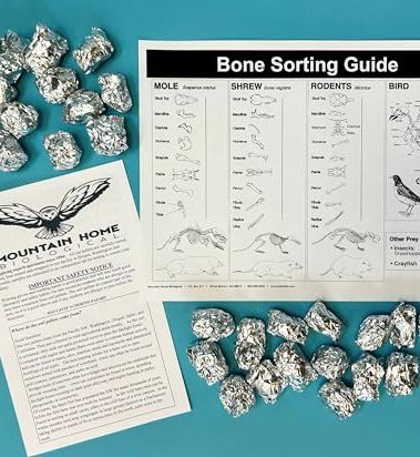 Extra Small Owl Pellets, 30 Pack