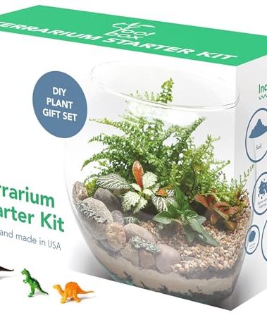 Root Box™ Large Terrarium Kit in Scented giftbox | Supplies for Glass Container terrariums | Suitable for Various Plants for Your own Slice of Science Creativity | Suitable for Adults and Kids