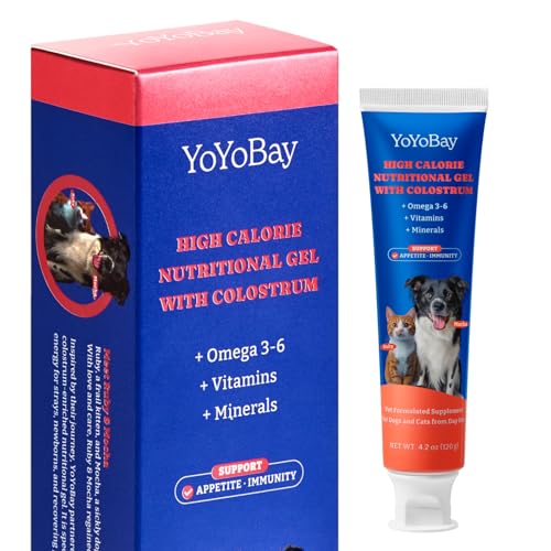 Version 1.0.0 Version 1.0.0