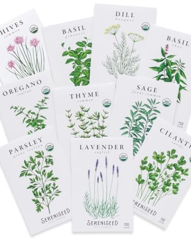 Sereniseed Certified Organic Herb Seeds (10-Pack) – Non GMO, Heirloom – Seed Starting Video - Basil, Cilantro, Oregano, Thyme, Parsley, Lavender, Chives, Sage, Dill Seeds for Indoor & Outdoor Planting