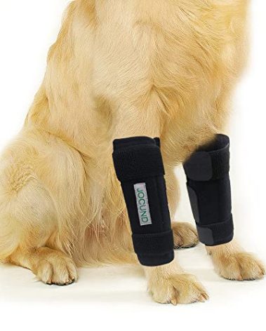 JOCUND Dog Front Leg Brace, Pair of Dog Leg Brace with Metal Strips, Canine Front Leg Hock Wrap Sleeve for Carpal Support, Protects Wounds Brace Heals and Prevents Injuries and Sprains (L/XL)