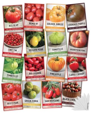 Gardeners Basics, Tomato Seeds for Planting 16 Variety Pack Heirloom Tomato Seeds, Tiny Tim, Cherry Tomato Seeds, Beefsteak Seeds, Roma Tomato Seeds, Determinate and Indeterminate and More, Non GMO
