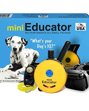 E-Collar - ET-300-1/2 Mile Remote Waterproof Trainer Mini Educator Remote Training Collar - 100 Training Levels Plus Vibration and Sound - Includes PetsTEK Dog Training Clicker