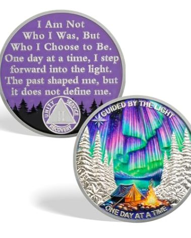 CHURYUML One Day at a Time 2 Year Sobriety Coin - Inspirational Two Year Chip, Non-Religious AA Coins Recovery Medallions Sober Affirmation Token Sobriety Gifts for Women Men Celebrating Sobriety
