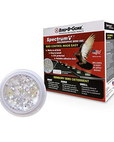 Bird B Gone - SpectrumV Holographic Bird Gel - Bird Repellent Gel - Repels Birds - Protect Edges, Ledges, Rooftops, Etc - UV Protected & Humane - Easy to Install Dishes - 12 Pack