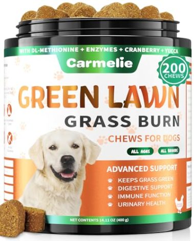 Carmelie Grass Burn Spot Chews – 200 Chews Dog Pee Grass Spot by Dog Urine – Urine Neutraliser for Lawn – Supports Urinary & Digestive Health with DL-Methionine, Probiotics & Enzymes