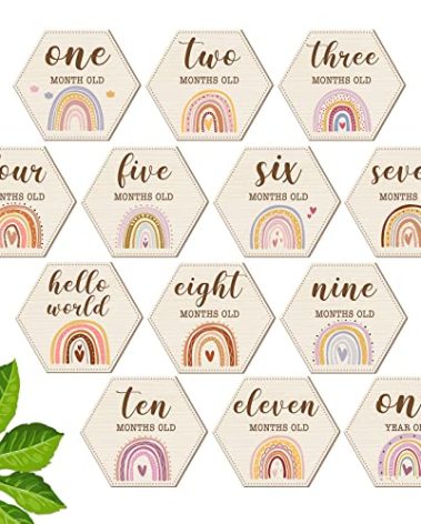 Amyhill 13 Pcs Wooden Baby Monthly Milestone Cards Signs Double Sided Milestone Discs Baby Shower Boho Photo Props Gifts Birth Announcement Signs Pregnancy Journey Growth Marker(Rainbow)