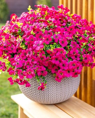AXYLEX Artificial Flowers for Outdoors Fake Plants - 16 Bundles Faux Outside Greenery Boxwood No Fade Plastic Shrubs Fall Decor Farmhouse Home Garden Thanksgiving Mums (Red)
