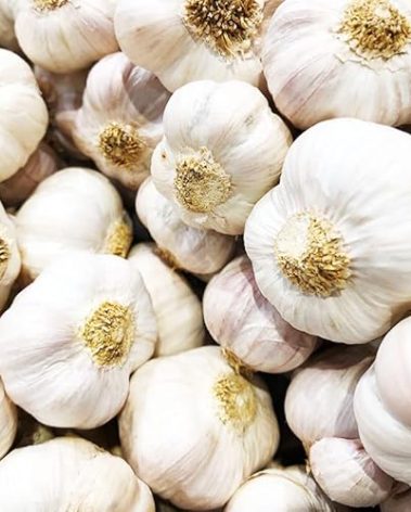 4 Heirloom Hardneck Garlic Bulbs for Planting - Pack Music Garlic Bulbs for Planting, Seed Garlic