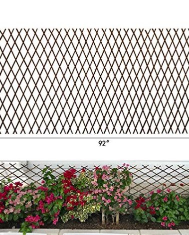 Expandable Garden Trellis Plant Support Willow Lattice Fence Panel for Climbing Plants Vine Ivy Rose Cucumbers Clematis 36X92 Inch