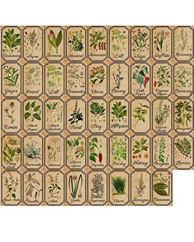Herb and Spice Apothecary Labels Vintage Labels Stickers for Jars Bottles Tags