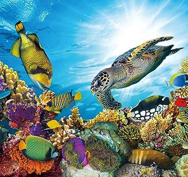 BEDUKE Jigsaw Puzzles for Adults 1000 Pieces Ocean Animals Thick Sturdy Cardboard Precise Interlocking 1000 Piece Puzzle Age 14+ Family Game