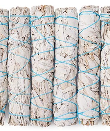 9-Inch White Sage Smudge Sticks ~ Sustainably Harvested ~ for Smudging & Cleansing ~ Instructions Included (6 Pack)