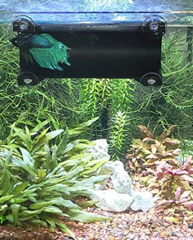 SeeShelter Brand Betta Tunnel (Opaque Black)