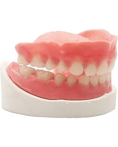 Denture Do it Yourself Full Set of Top and Bottom Fake Teeth for Improve Smile (Gypsum Model， Gum Material and Fake Teeth)