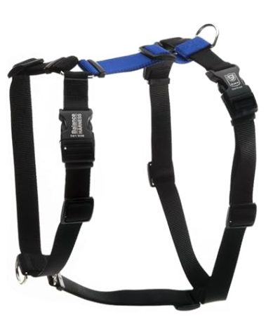 Blue-9 Buckle-Neck Balance Harness, Fully Customizable Fit No-Pull Harness, Ideal for Dog Training and Obedience, Made in The USA, Blue, Medium/Large
