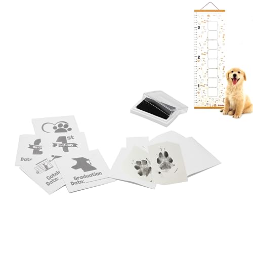 Version 1.0.0 Version 1.0.0