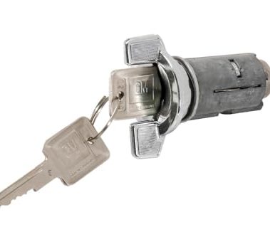 GM Genuine Parts 19356477 Ignition Lock Cylinder with Key, Gray