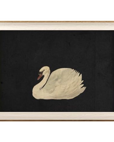VIYYIEA Framed Wall Art for Living Room, Swan Art Canvas Prints, Vintage Home Decor, Animals Painting Picture, Bathroom Wall Decor Gifts for Friends or Family - 16L x 12W