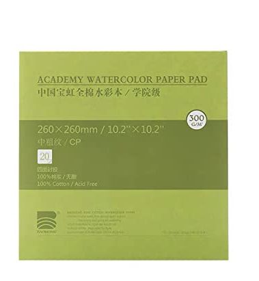BAOHONG Academy Grade Watercolor Block, 100% Cotton, Acid-Free, 140LB/300GSM, Cold Press Textured, 20 Sheets per Block (Cold Press 10.2"x10.2")