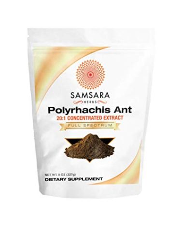 Samsara Herbs Polyrhachis Black Ant Extract Powder - 20:1 Concentrated Extract (8oz/227g)