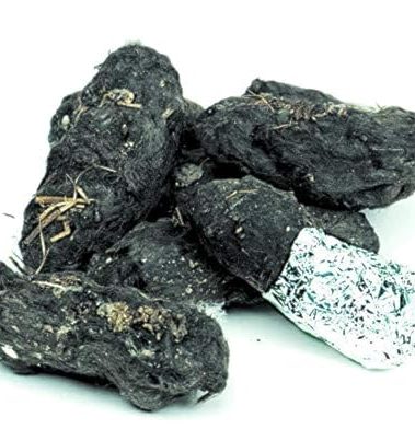 Barn Owl Pellets - Large - Pack of 6