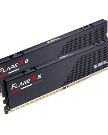 G.SKILL Flare X5 Series DDR5 RAM (AMD Expo) 64GB (2x32GB) 6000MT/s CL30-40-40-96 1.40V Desktop Computer Memory U-DIMM - Matte Black (F5-6000J3040G32GX2-FX5)