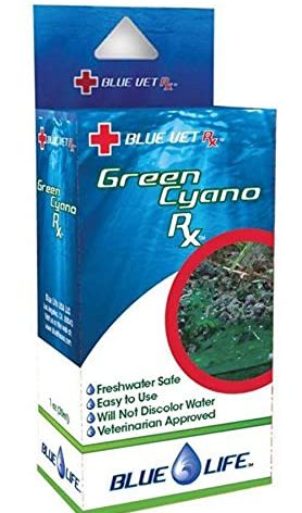 Blue Life Green Cyano Rx