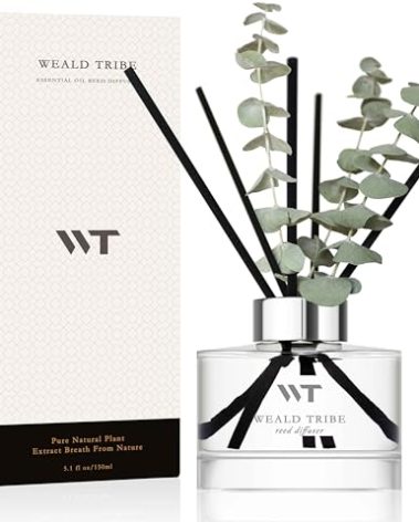 Flower Reed Diffuser Set Wild Eucalyptus Mint Scent for Bathroom Accessories Shelf Decor & Air Fresheners, Sticks Defusers with 5.1 fl oz Essential Oils & Leaves, House Bedroom Office Decor & Gifts